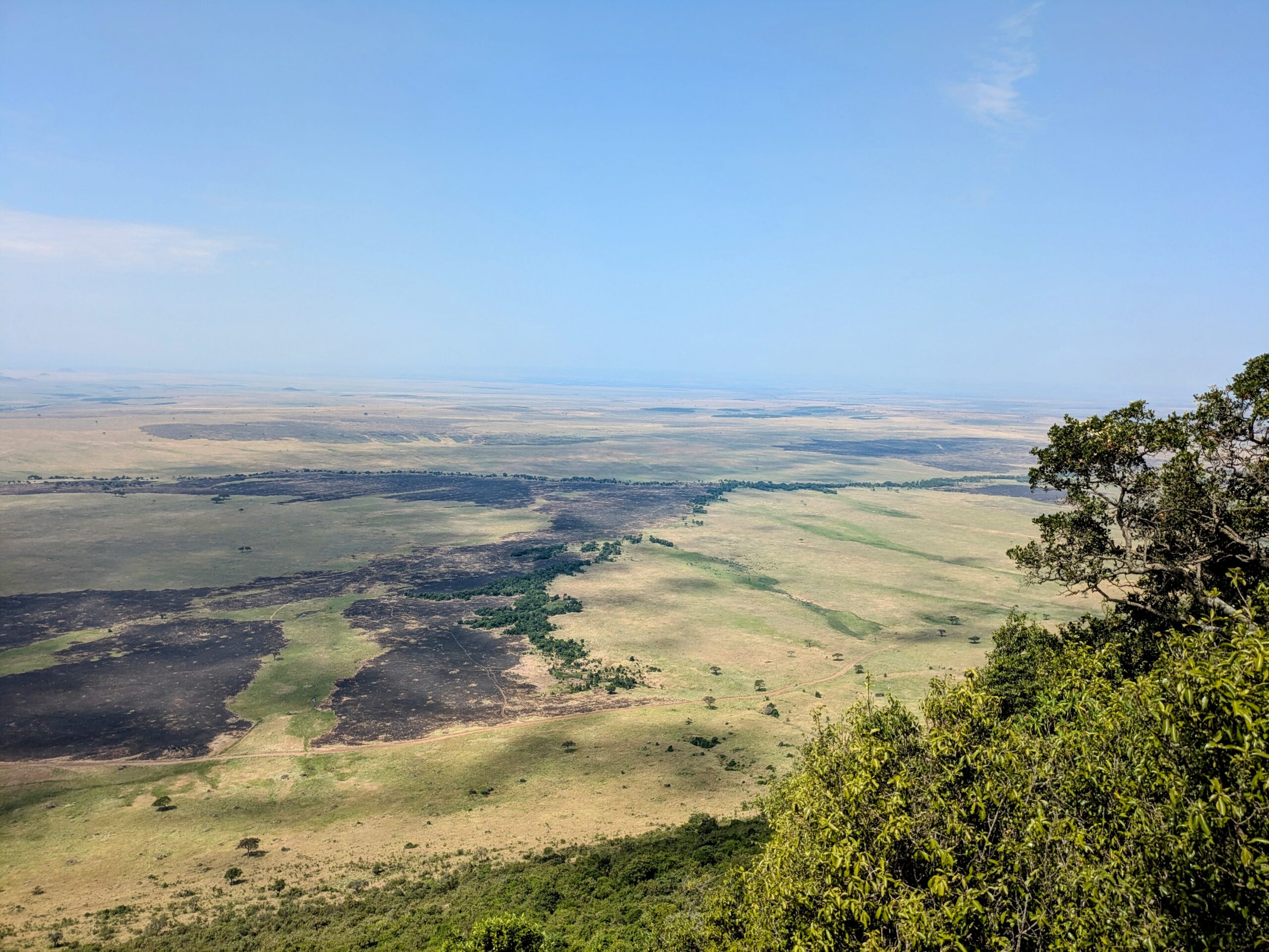 Dry Season